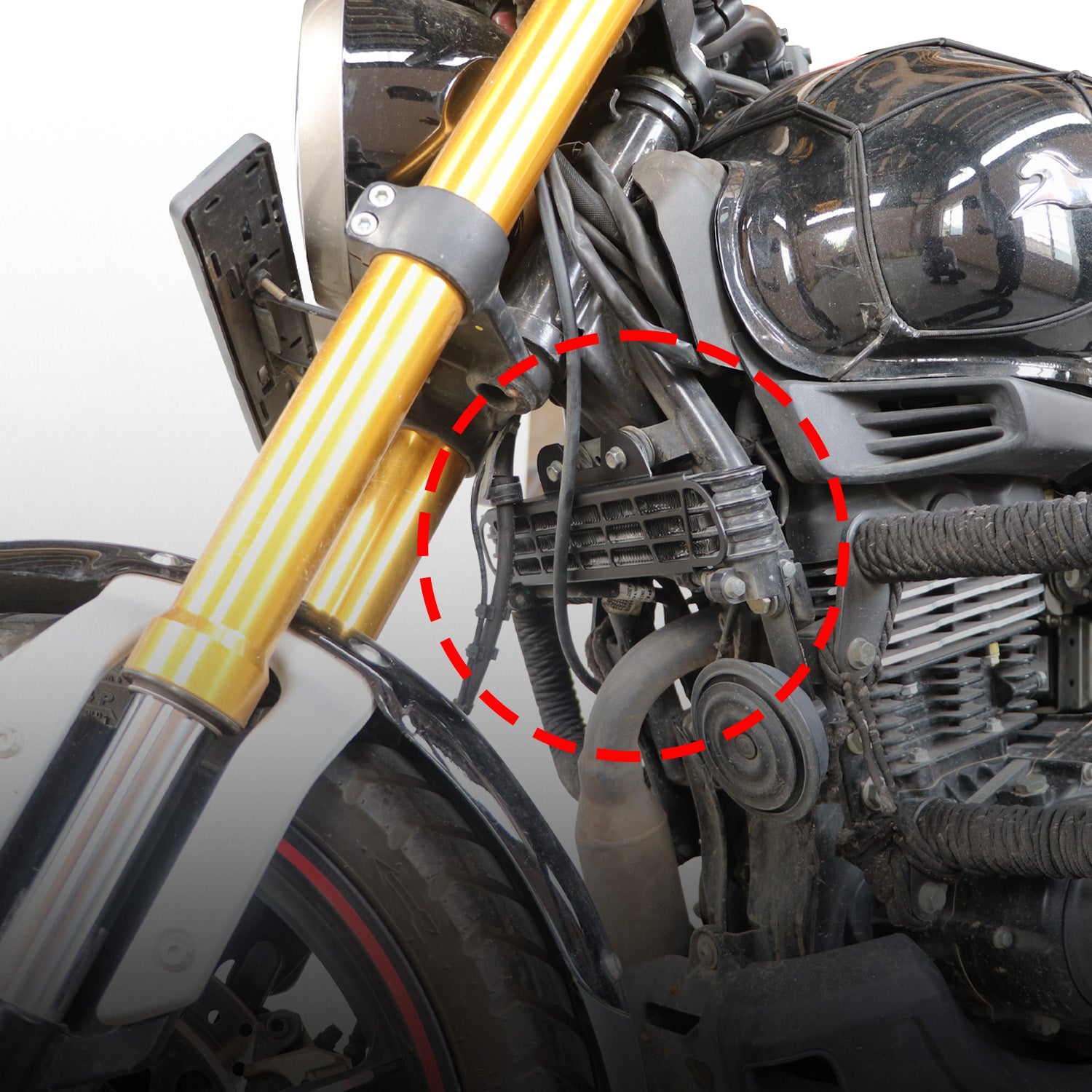 TVS Radiator Guard for Ronin